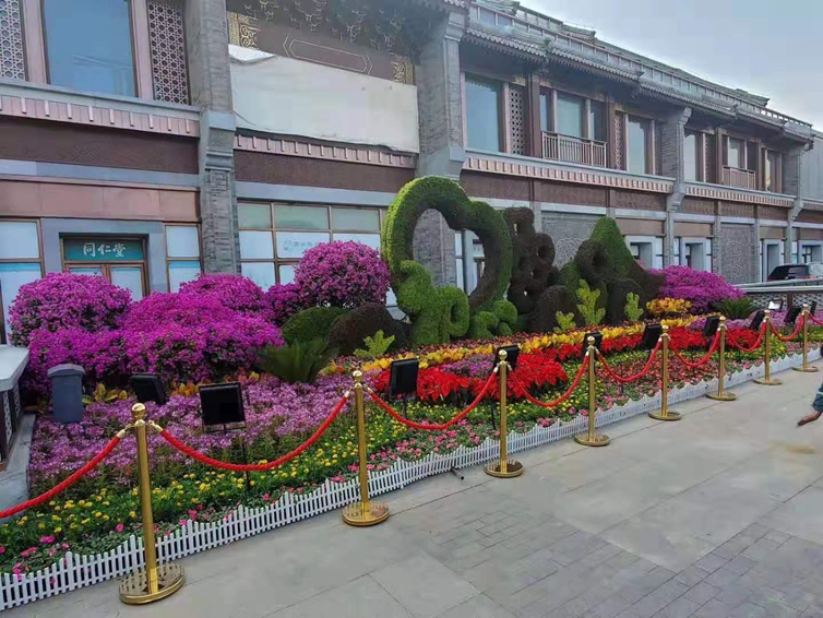 北京市朝阳区庆70周年五色草造型